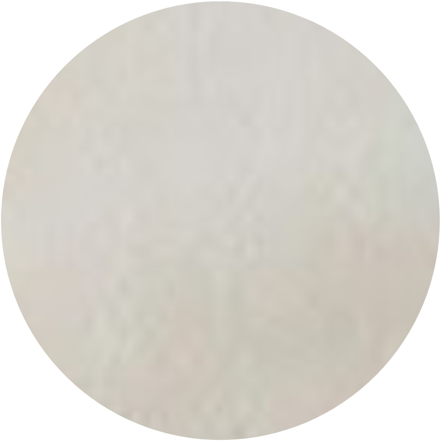 Thin Herringbone Cream Cashmere