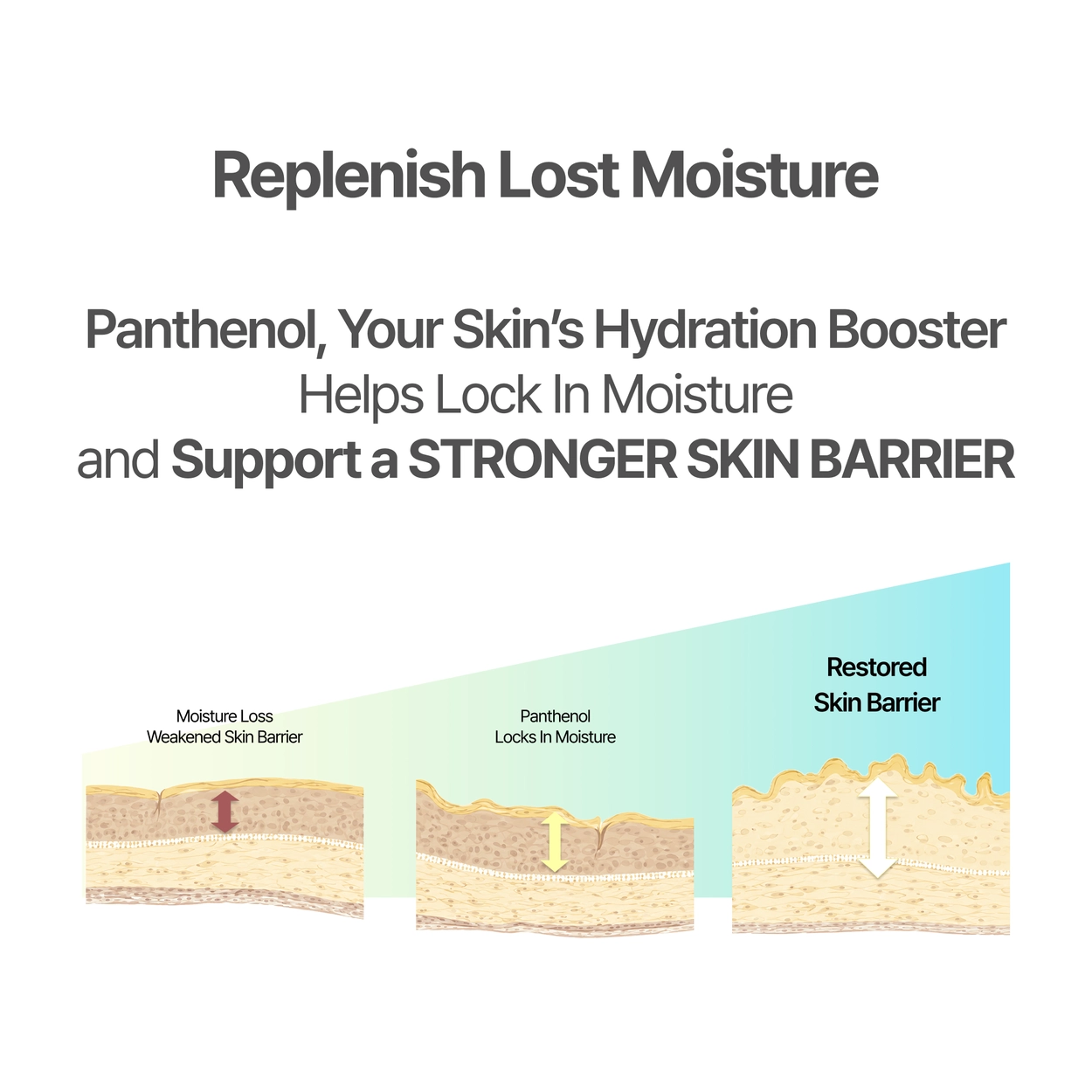 House of Balance | SORBET 10PM BODY CREAM - Image 6